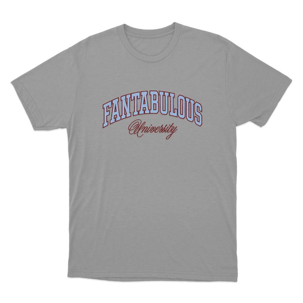 Fantabulous University Unisex T Shirt Grey Fantabulous University Unisex T Shirt Grey